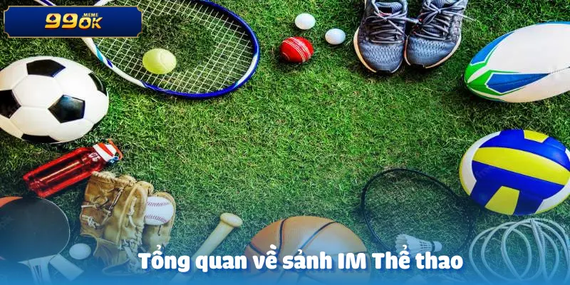 sanh-im-the-thao