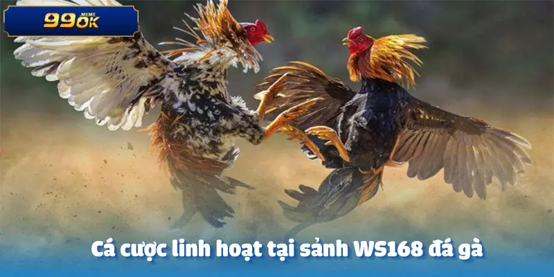 ws168-da-ga
