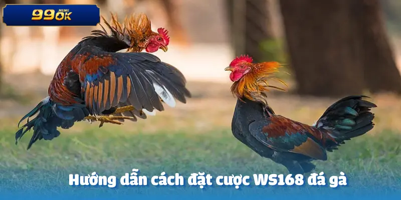 ws168-da-ga