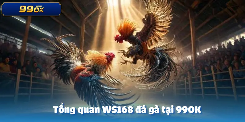 ws168-da-ga