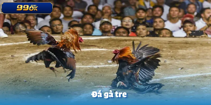 ws168-da-ga