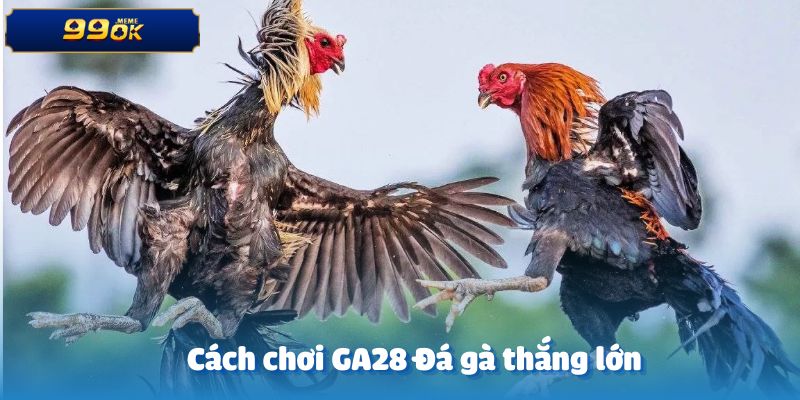 Hướng dẫn cách chơi GA28 Đá gà để đạt được chiến thắng ấn tượng