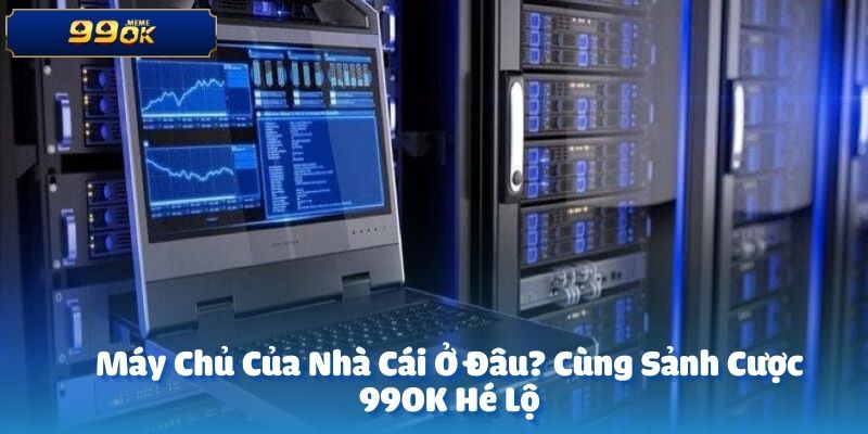 anh dai dien 11